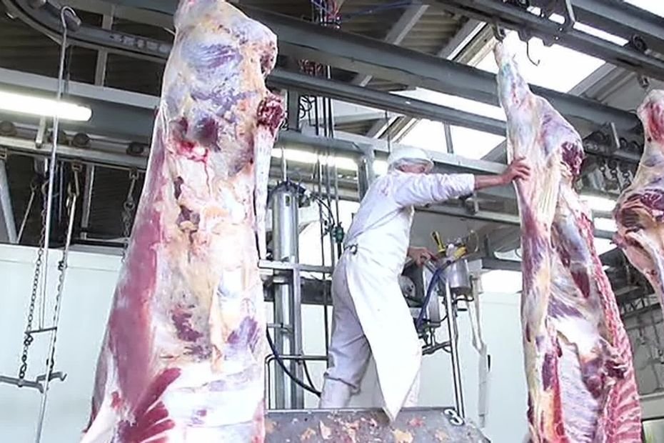 « On ne comprend pas pourquoi l’abattoir n’est pas à vendre », des éleveurs veulent racheter cet abattoir vieillissant