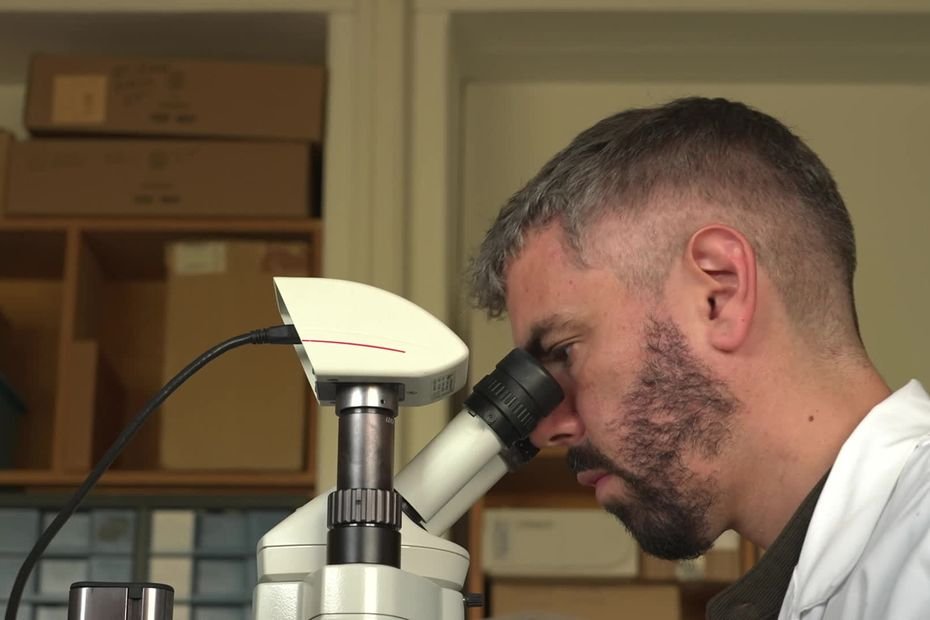 Science et histoire : graines, charbon de bois, ce chercheur a enquêté sur l&rsquo;apport de l&rsquo;expansion musulmane à l&rsquo;agriculture occidentale