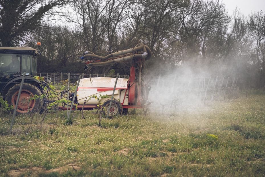 Exposition aux pesticides : une étude d’ampleur confirme la surexposition des riverains vivant près des vignes