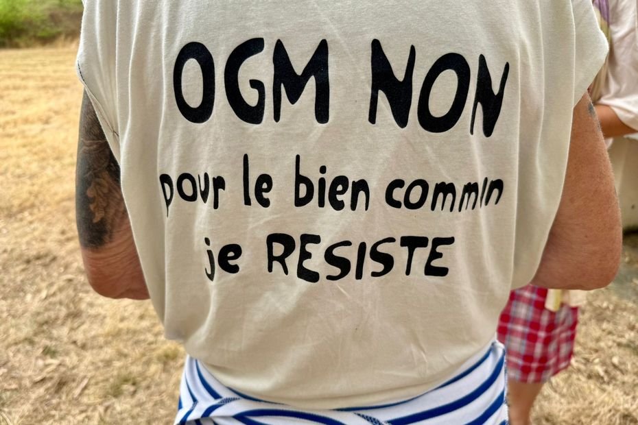 « Des produits chimiques dangereux, qui finissent dans les sols » : des militants s’introduisent dans une coopérative agricole pour faire analyser des pesticides