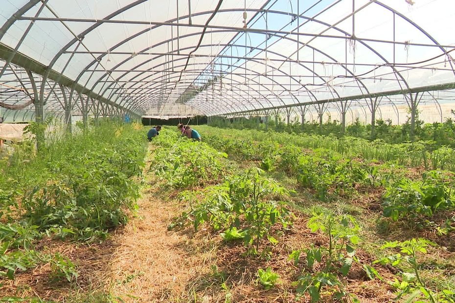 « Notre disparition doit servir d’électrochoc » : la Cité de l’agriculture de Marseille en liquidation judiciaire