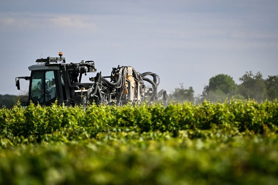 C’est désormais prouvé : plus on vit proche des vignes, plus on est contaminé par les pesticides