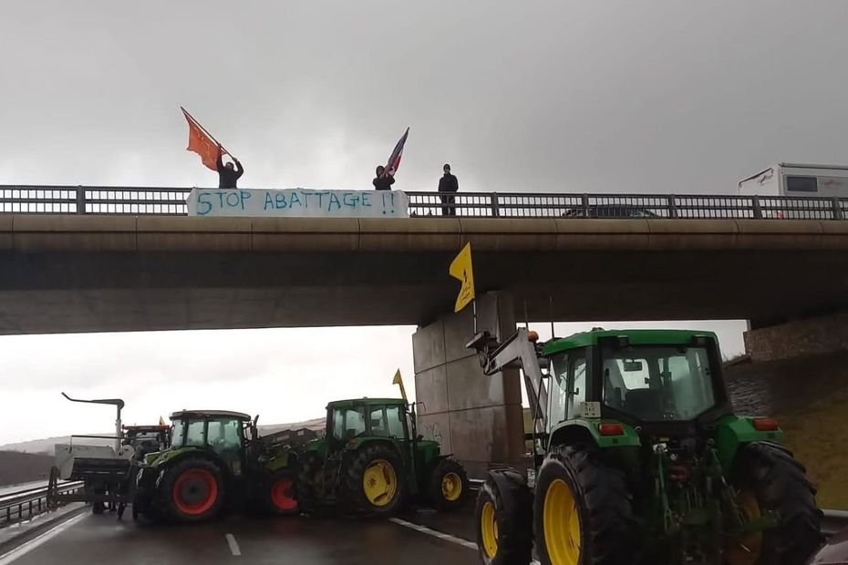 Dermatose nodulaire : « on n’éradique pas une maladie, on apprend à vivre avec », ce syndicat demande toujours la fin de l’abattage systématique