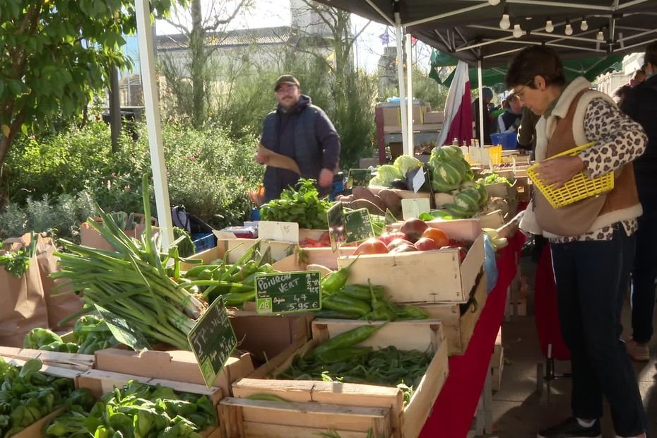 « Des tomates en novembre, c’est atypique » : à cause des températures élevées, les légumes d’été continuent de pousser, les agriculteurs doivent s’adapter