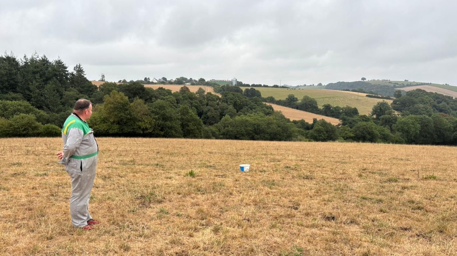 Baisse de rendement, manque de fourrage, production précoce… Dans le Finistère, la sécheresse inquiète les agriculteurs