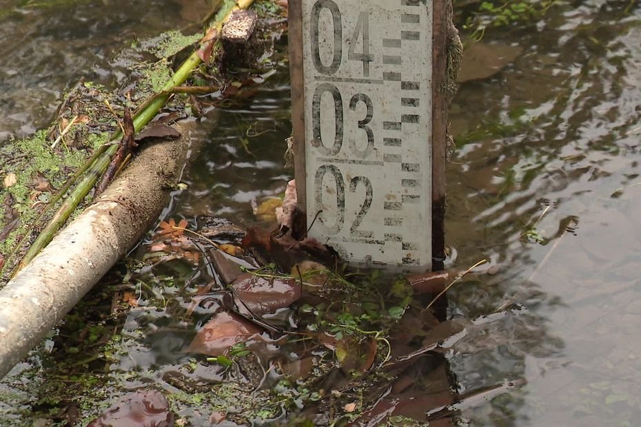 « Nous avons économisé l’eau pour rien » : les conséquences pour les agriculteurs