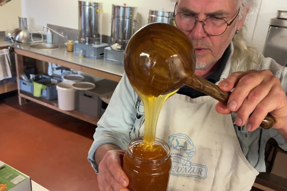 “On fait 30 % de plus que l’année dernière » : une récolte de miel « exceptionnelle » en Haute-Loire