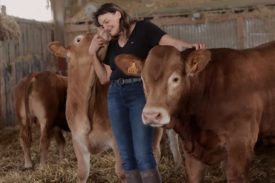 « Je montre tout, ce qui est bien et pas bien » : Sylvie, agricultrice devenue star des réseaux sociaux avec ses vaches limousines