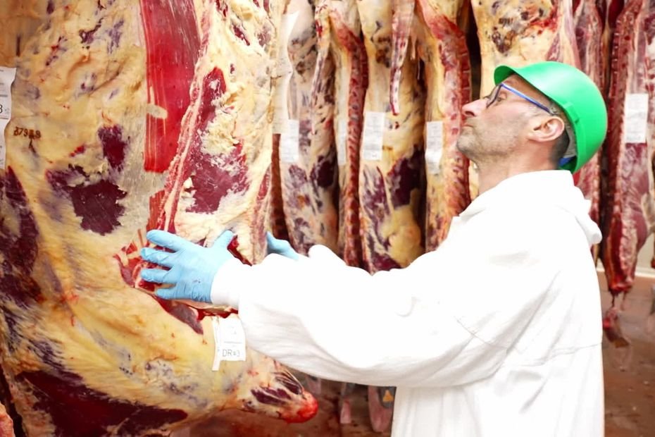 Fragiles financièrement, pourquoi les petits abattoirs locaux, menacés de fermeture, doivent-ils continuer d’exister