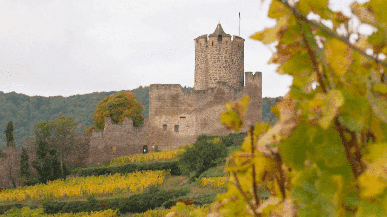 Alsace : sur la piste des vignobles en automne