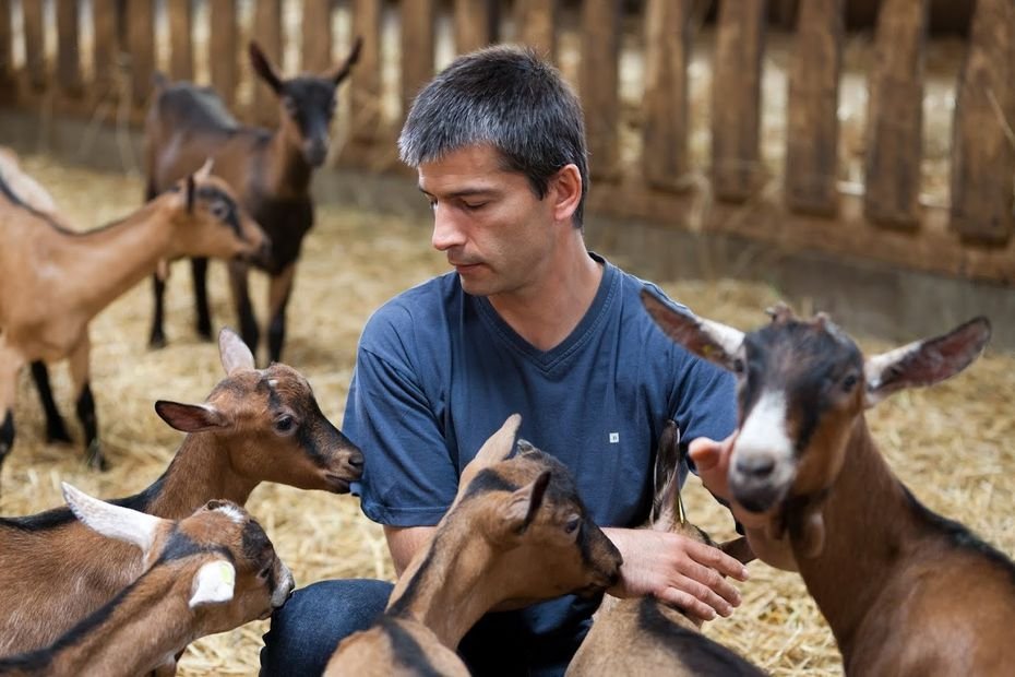 Contraint à la liquidation, un célèbre fromager charentais est bouleversé par l&rsquo;élan de solidarité sur les réseaux sociaux