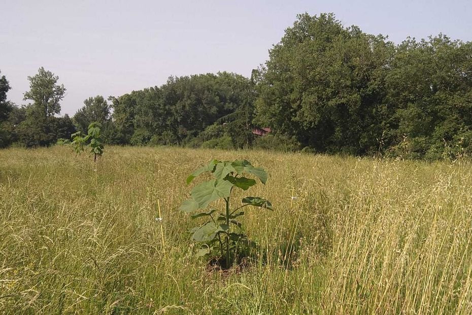« Accorder un rôle plus important aux agriculteurs » : « L’Autoroute de la pluie » un projet pour adapter les paysages au changement climatique