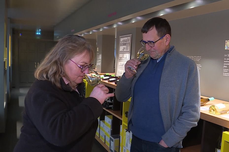 Le vin sans alcool, adopté par les consommateurs mais encore tabou chez certains viticulteurs, « il faut qu’on prenne le bon wagon »