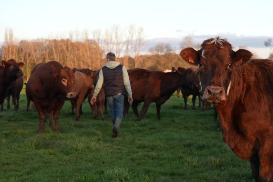 « Si on veut préserver tout ça, il faut agir maintenant », Frédéric, éleveur, a signé une obligation réelle environnementale pour protéger la biodiversité