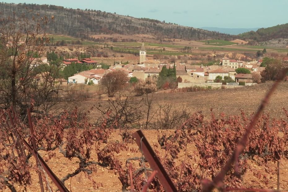 Incendie dans l’Aude : « l’ogre des Corbières », comment l’espoir renaît de ses cendres pour ce domaine viticole après avoir été ravagé par les flammes