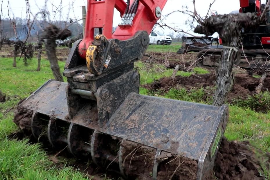130 millions d’euros pour l’arrachage de vignes : une mesure « nécessaire » mais « insuffisante » pour sortir de la crise du vin