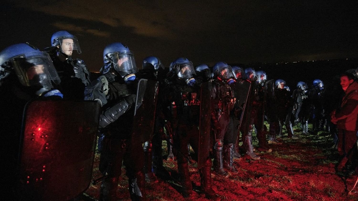 VRAI OU FAUX. Dermatose nodulaire contagieuse : des vétérinaires ont-ils été radiés après avoir refusé l’abattage de vaches en Ariège ?