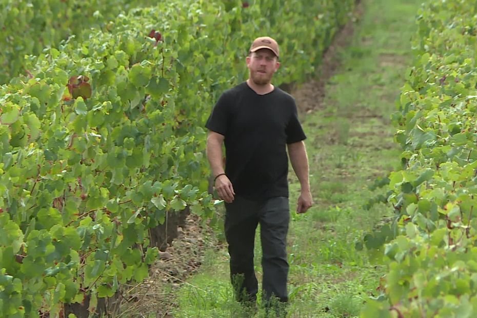 « Je fais ce que j’aime, et on n’a qu’une vie » : l’histoire exceptionnelle d’un mécanicien d’avions devenu vigneron