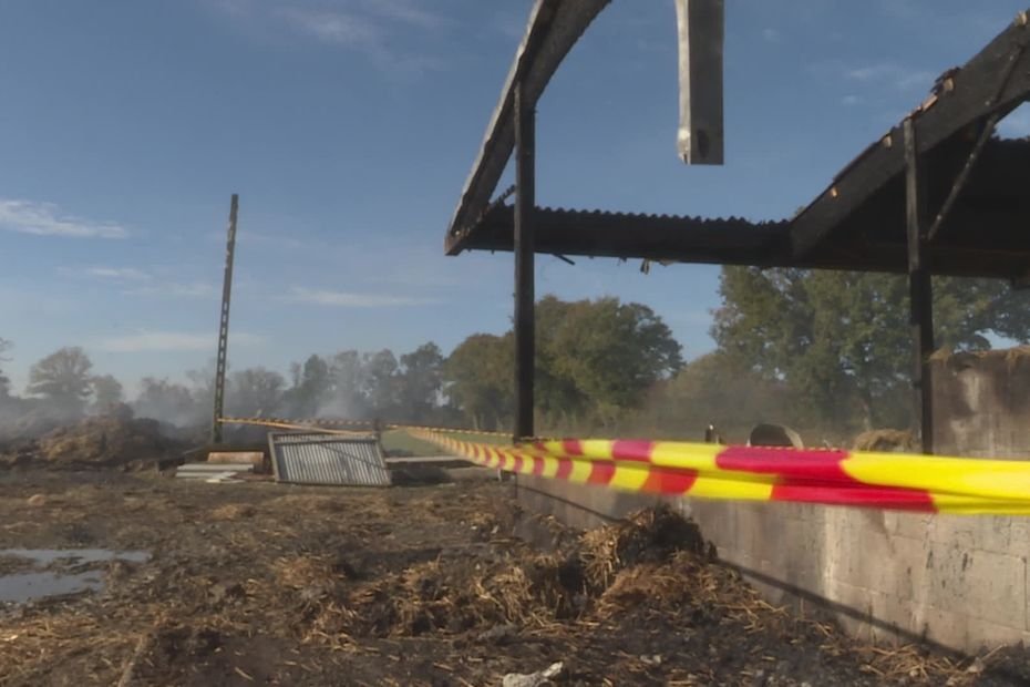 VIDÉO. « On est écœuré et on a peur pour les voisins » : l’angoisse du monde agricole après les incendies en série de hangars
