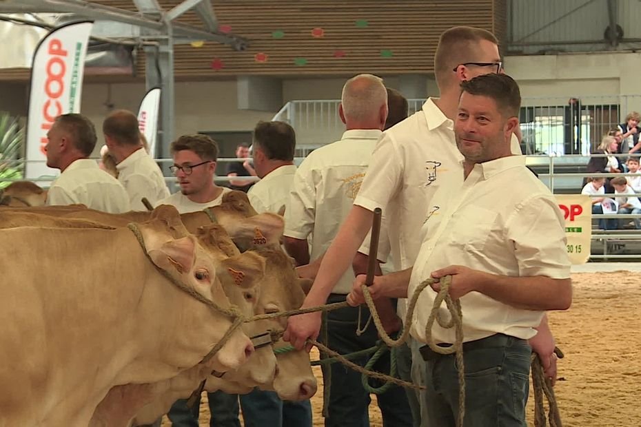 « Le milieu agricole a besoin de soutien » : dans ce concours agricole bovin, les éleveurs se retrouvent et créent du lien