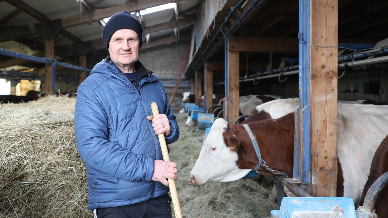 REPORTAGE. « Le traumatisme est toujours là » : on est retournés chez les premiers éleveurs touchés par la dermatose nodulaire dans les Alpes
