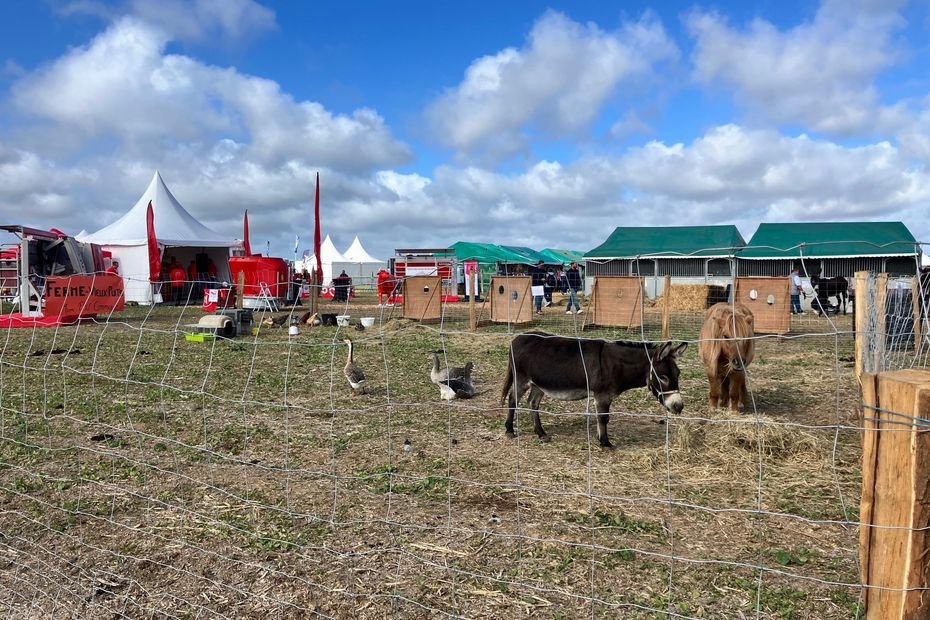 Immersion sur les « Terres de Jim » : la plus grande fête agricole en plein air d’Europe