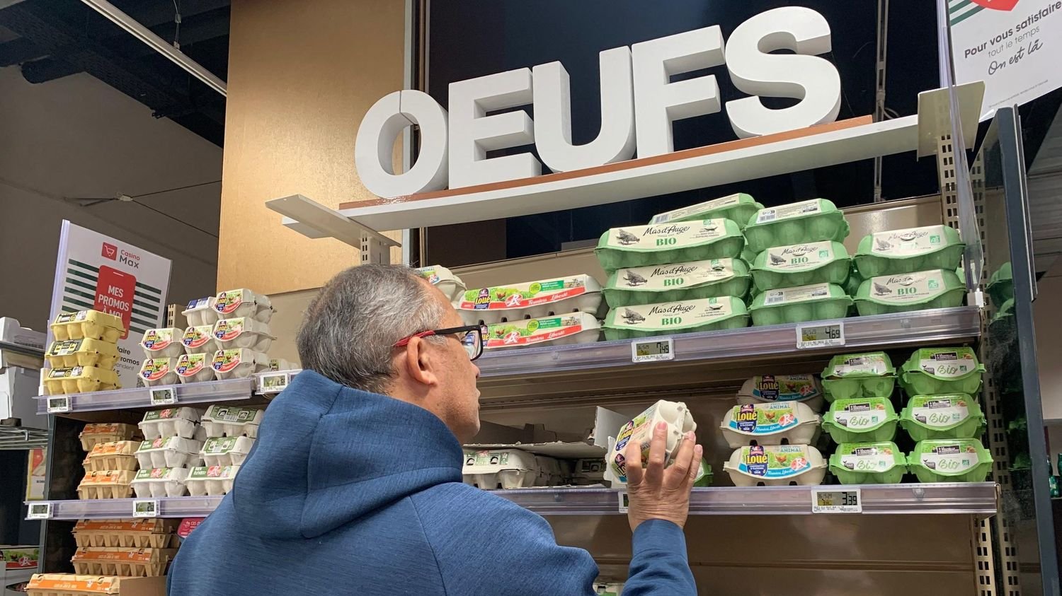 Œufs ukrainiens : trois questions sur les importations dénoncées par les producteurs français