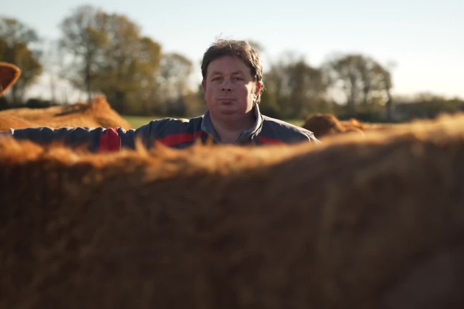 « La baisse du cheptel est bien plus importante en Bretagne qu’ailleurs » : pourquoi le prix de la viande n’est pas prêt de baisser ?