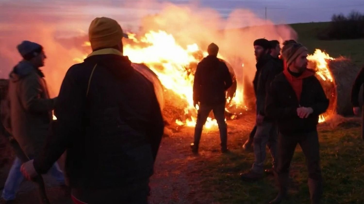 Dermatose nodulaire : « On tue le cheptel français », déplore un manifestant opposé à l’abattage de 200 vaches en Ariège