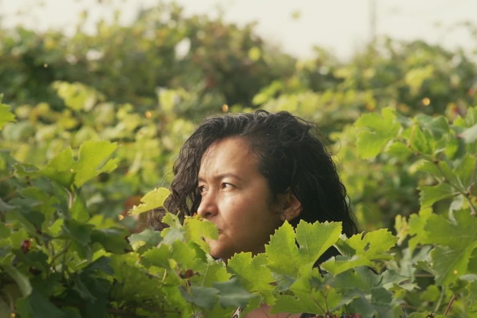 « Tout est déjà là, dans les vignes » : faire du vin nature, c’est le pari de Béa qui a tout quitté pour devenir vigneronne
