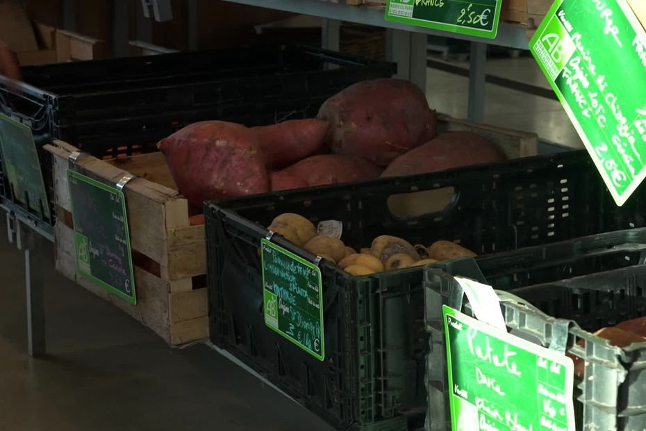 « Seule ce n&rsquo;est pas simple » : Carole, paysanne bio, transforme 5 000 m² de terres pauvres grâce à la permaculture et la solidarité citoyenne