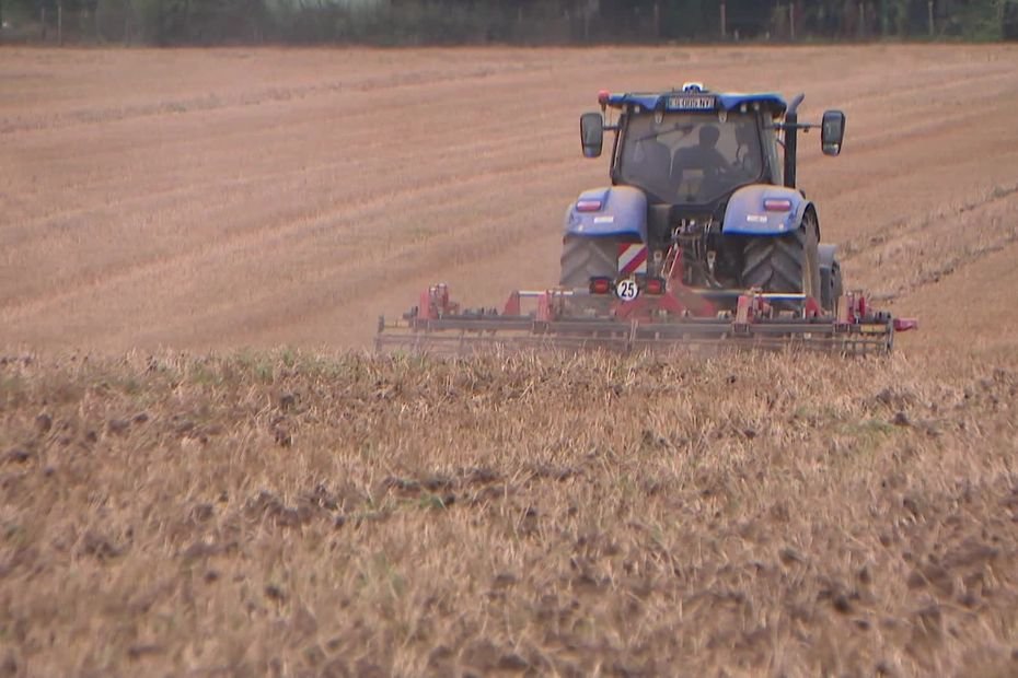 « On a 20% de récolte en plus, mais on ne va pas tant gagner d’argent » : un bilan des moissons mitigé pour ces agriculteurs