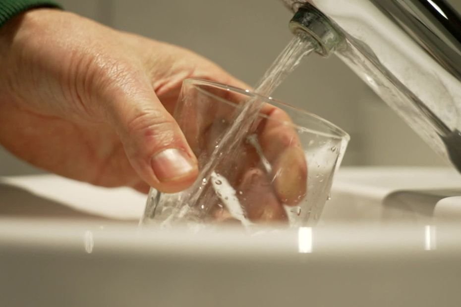 VIDÉO. Comment un élevage en agriculture biologique peut réduire la présence de pesticides dans l’eau potable