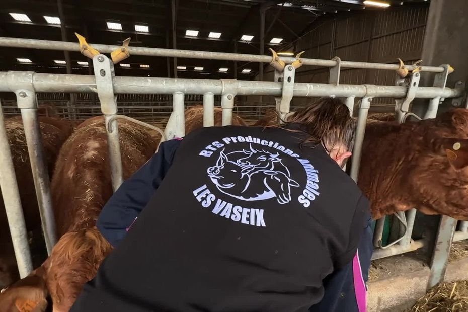 « On les aurait attendus physiquement s’ils étaient venus » : la CR à l’origine de l’annulation d’une réunion publique dans ce lycée agricole