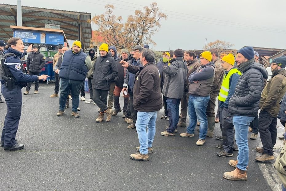 « Vous êtes riches, nous on crève de faim » : action coup de poing d&rsquo;agriculteurs contre la grande distribution, « des agissements graves » condamnés parla préfecture