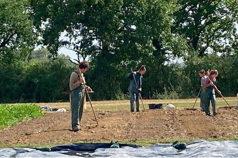 « J’avais envie de faire quelque chose qui avait vraiment du sens ». En Vendée, une ferme école forme une nouvelle génération de maraîchers