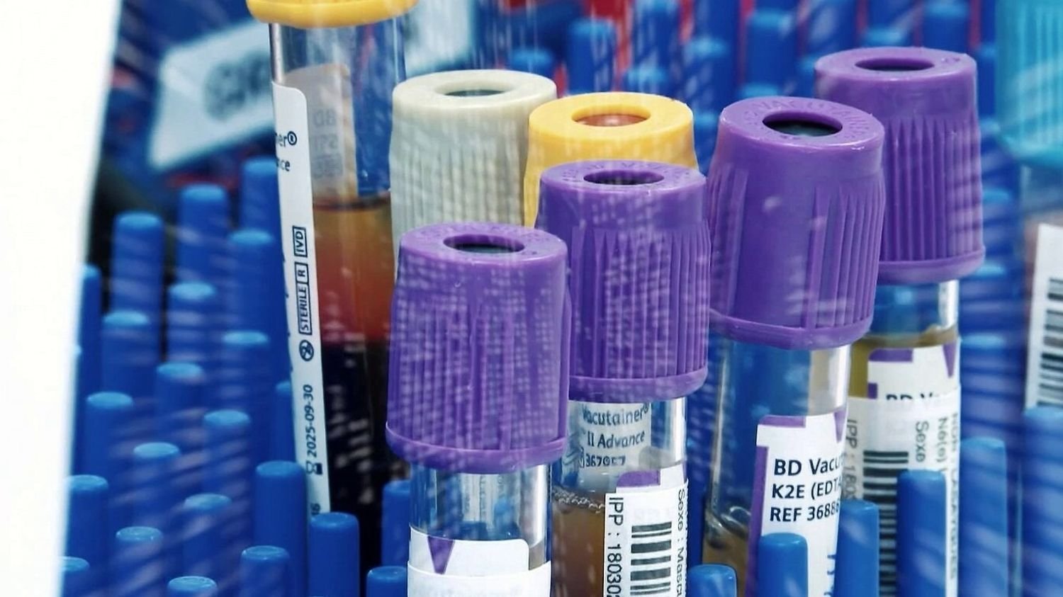 The Glass Cabinet: When Our Biological Secrets Go Public