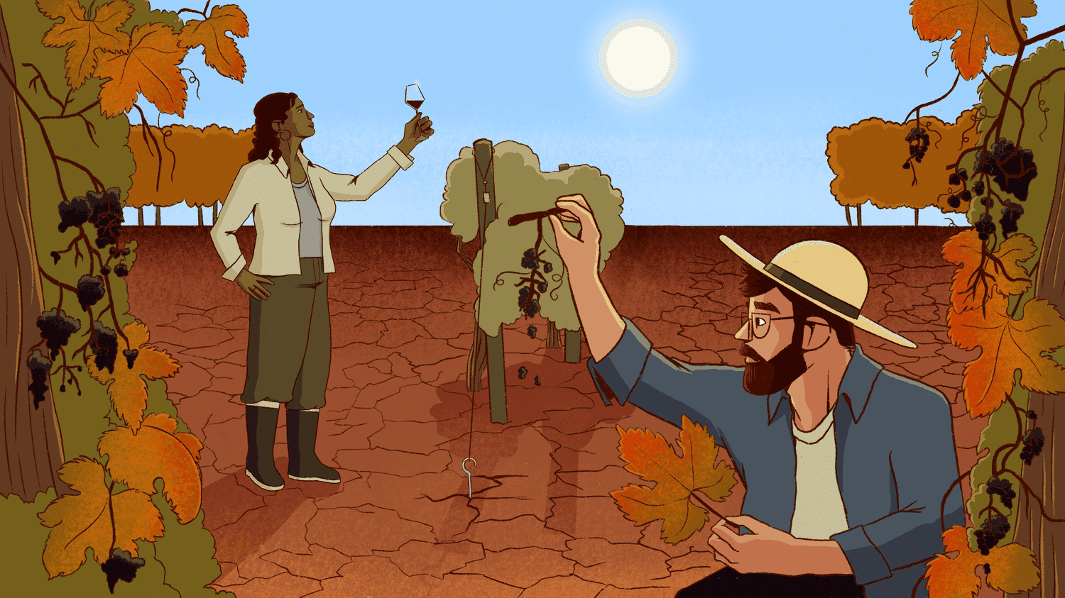 Vendanges plus précoces, vins plus alcoolisés, régions et cépages modifiés… Comment le réchauffement climatique secoue le monde viticole