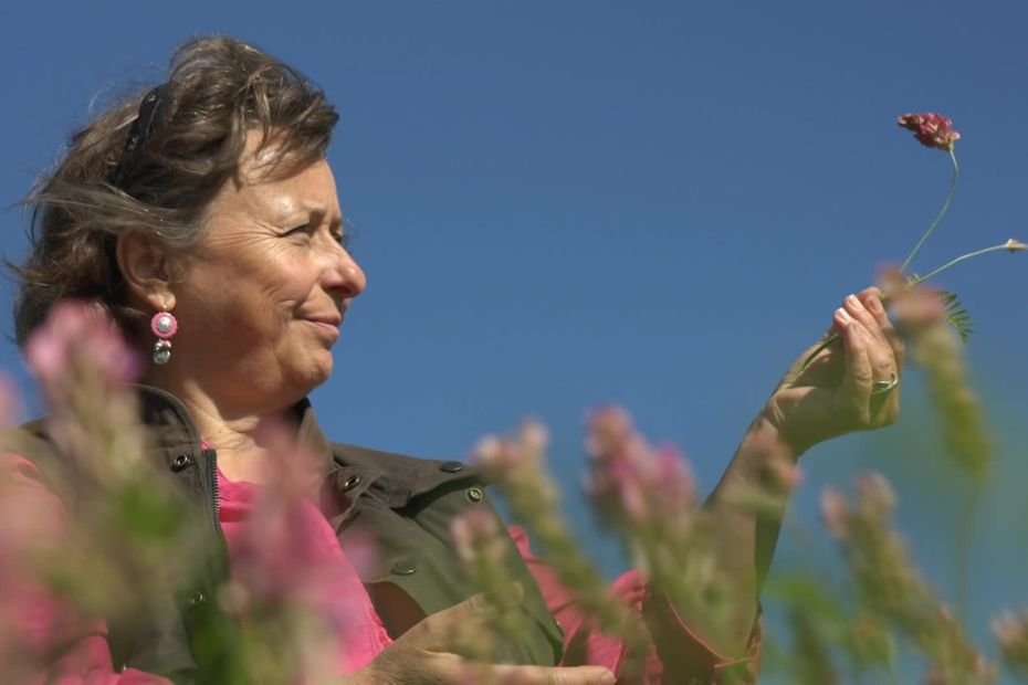 Elle veut réhabiliter le sainfoin, une plante oubliée aux multiples vertus : « Redonner vie au sainfoin, c’est semer de l’avenir dans chaque champ »