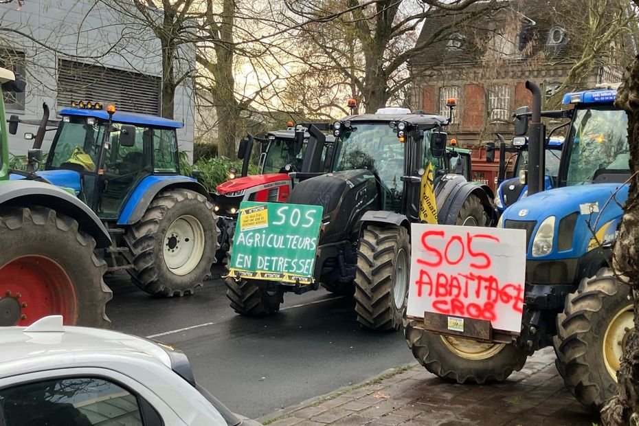 Dermatose nodulaire : des agriculteurs mobilisés dans les Ardennes, un lycée agricole bloqué