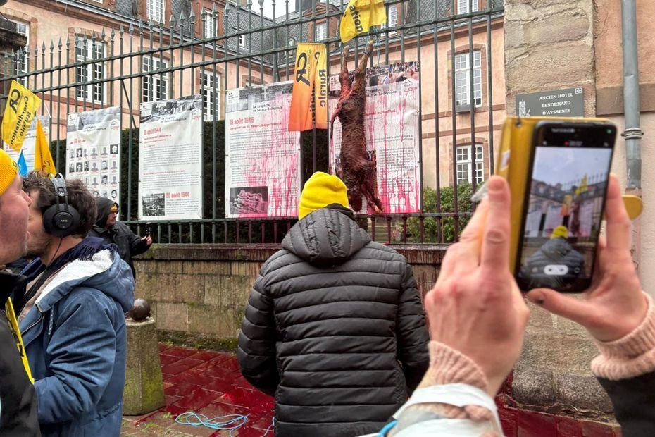 « Ca détruit votre vie » : Confédération Paysanne et Coordination rurale mobilisées ensemble contre l’abattage d’un troupeau atteint de la dermatose nodulaire