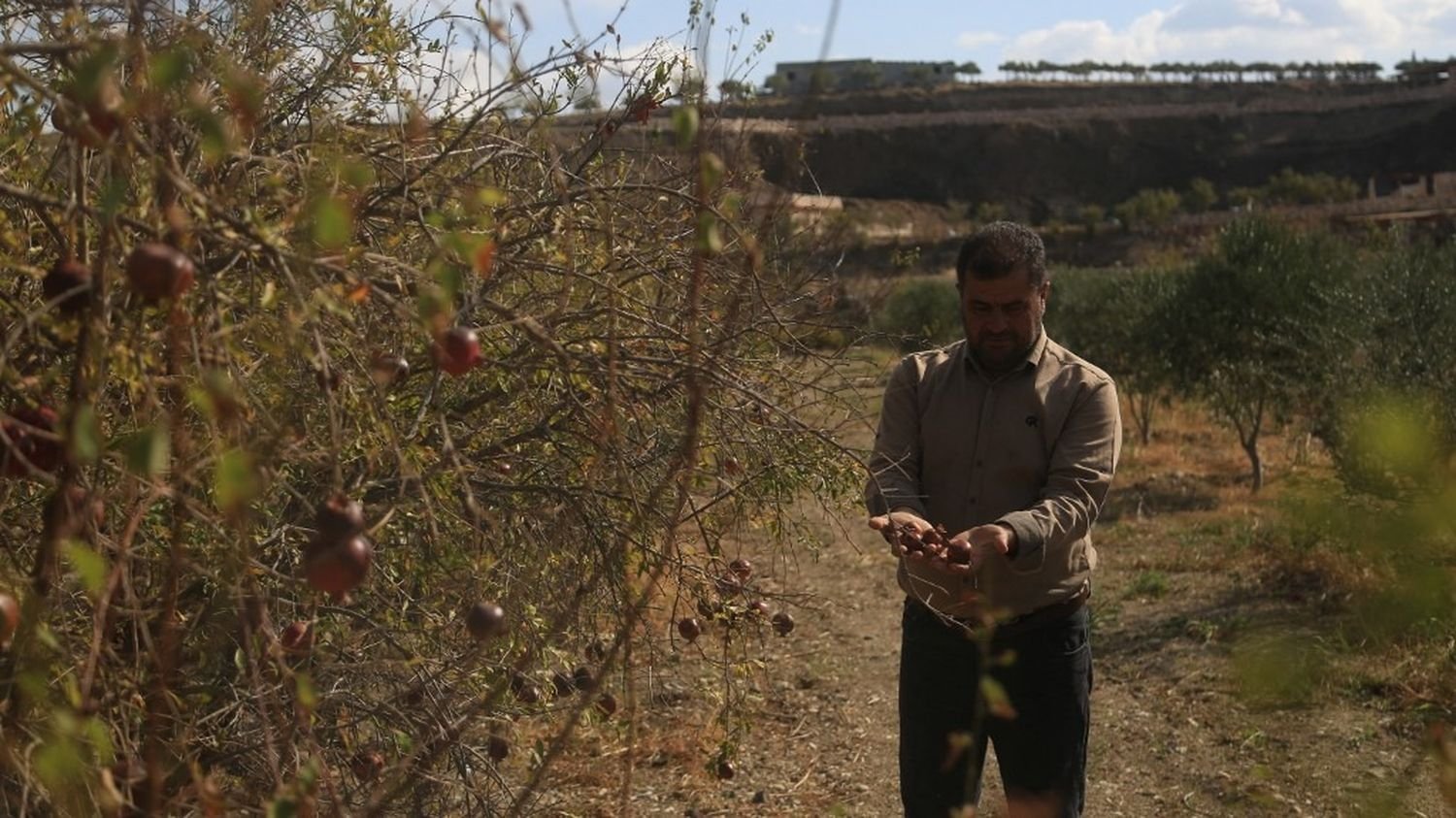 Les catastrophes climatiques ont causé plus de 3 000 milliards de dollars de dégâts pour l’agriculture en 30 ans, estime l’ONU