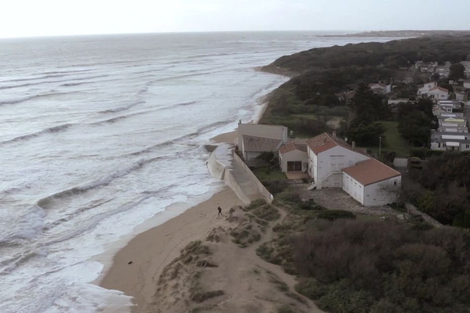 Du paracétamol et des herbicides dans tout le littoral français : ce que révèle une étude inquiétante de l’Ifremer