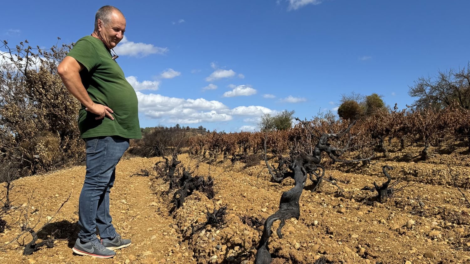 REPORTAGE. « On ne peut pas refaire comme avant » : un mois après l’incendie dans l’Aude, les vignerons des Corbières rêvent d’un autre modèle agricole