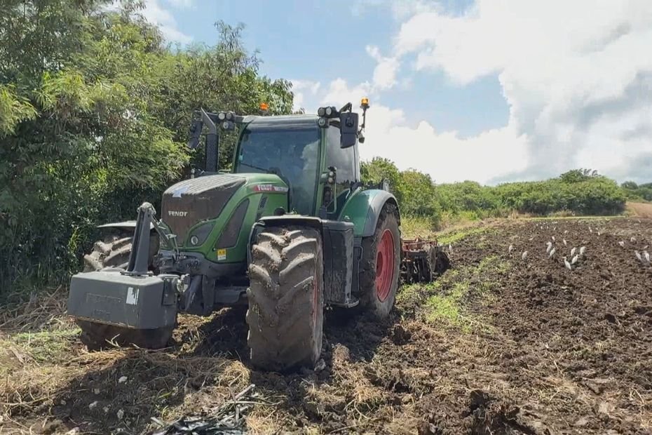 Aides européennes en souffrance : les jeunes agriculteurs guadeloupéens à bout de souffle