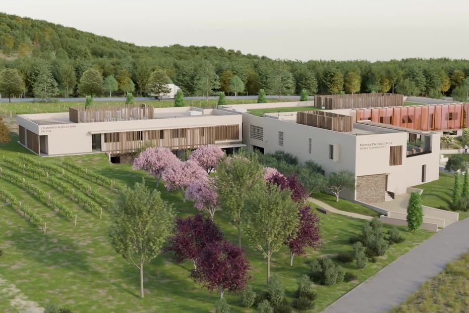 Centre de recherche sur le vin rosé, cave expérimentale, salle de dégustation… Le projet d&rsquo;un Vitipole est lancé dans le Var