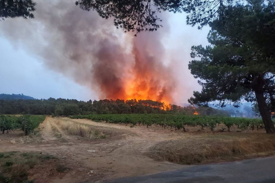 Incendie dévastateur dans l’Aude : 20% des vignes des Corbières brûlés et dans le vignoble épargné le raisin est impropre à la consommation