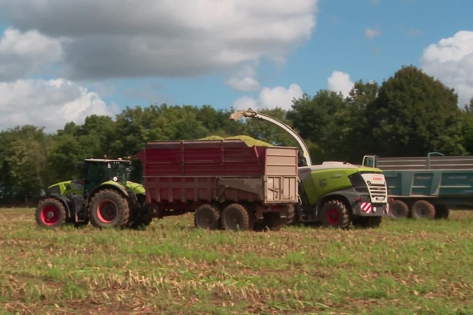 « C’est tout ou rien, il n’y a plus d’entre-deux », comment les agriculteurs s’adaptent au changement climatique pour leurs cultures céréalières ?