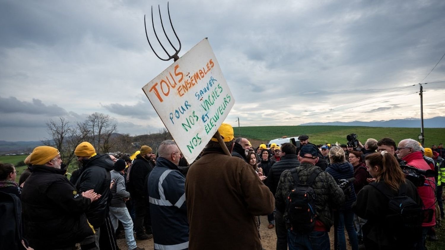 Dermatose nodulaire : « La colère est en train de monter, de se cristalliser », prévient le président de la Coordination rurale