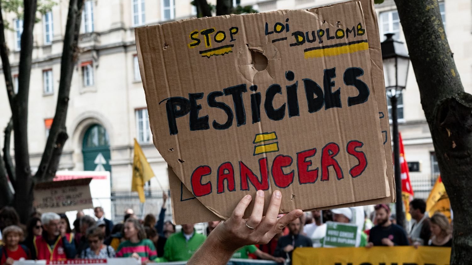 Loi Duplomb : face à la détresse de certaines filières, un rapport estime que les solutions alternatives aux pesticides néonicotinoïdes « doivent être soutenues et finalisées »
